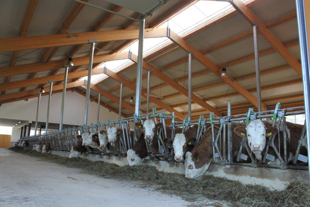 Ganhoer- Fam. Kaar Wintersdorf Dış mekan fotoğraf
